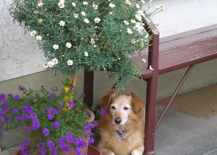 Der Graggober Oberwoelz Stadt